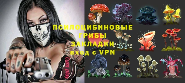 таблы Вяземский